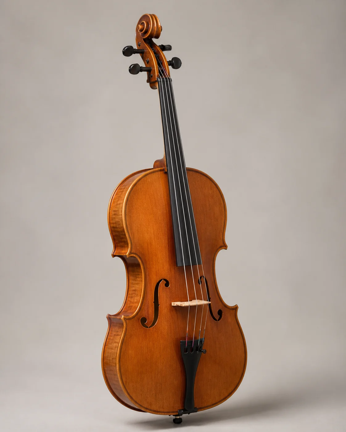 ภาพตัวอย่างวิโอลา ไม่ใช่ San-fun Viola จริง